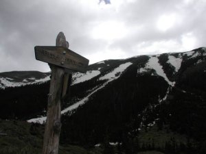 Bear Jaw and Abineau Trails