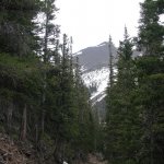 Bear Jaw and Abineau Trails
