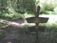 Dorsey Spring Dorsey Spring