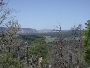 Crystal Point Crystal Point