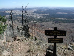 Heart Trail