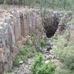Sycamore Rim Loop