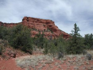 Doe Mountain