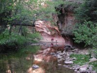West Fork of Oak Creek Canyon West Fork of Oak Creek Canyon