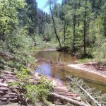 West Fork of Oak Creek Canyon West Fork of Oak Creek Canyon