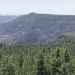 Wilson Mountain North