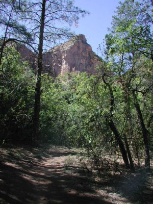 Boyton Canyon Boyton Canyon