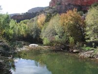 Parson Spring