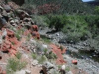 Woods Canyon Woods Canyon
