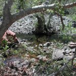 Woods Canyon Woods Canyon