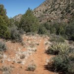Jack's canyon