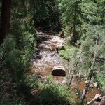 Horton Springs Horton Springs