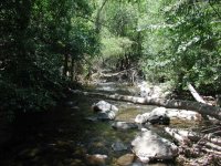 Blodgett Basin and West Clear Creek