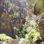 Upper West Clear Creek