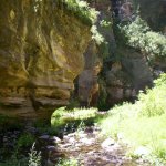 Upper West Clear Creek