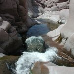 Salome Creek (the Jug) Salome Creek (the Jug)