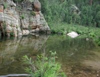 Horse Crossing - East Clear Creek