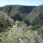 Pine Canyon