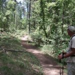 Pine Canyon