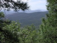 Military Sinkhole Trail #179