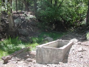Oak Trail #16 and Walnut Trail #251
