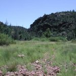 Oak Trail #16 and Walnut Trail #251