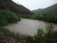 Lower Tonto Creek