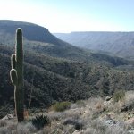Cave Creek