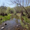 Cave Creek Loop hike (Cave creek trail and Skunk Tank trail) Cave Creek Loop hike (Cave creek trail and Skunk Tank trail)