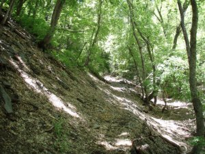 Icehouse Canyon Trail #198