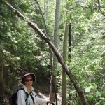 Icehouse Canyon Trail #198