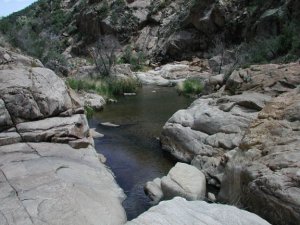 Poland Creek Poland Creek