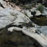 Poland Creek Poland Creek