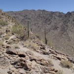 Quartz Peak