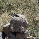 Quartz Peak