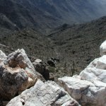 Quartz Peak