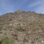 Freedom Trail (Piestewa Peak) Freedom Trail (Piestewa Peak)