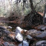 Haunted Canyon (Tony Ranch) Haunted Canyon (Tony Ranch)