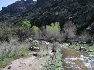 Dripping Springs