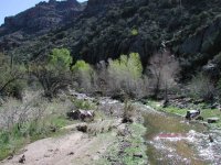 Dripping Springs Dripping Springs