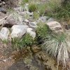 Marion Spring Marion Spring