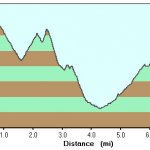 Cornucopia- Thicket Spring Loop