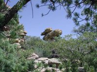 Chiricahua - Heart of Rocks Loop Chiricahua - Heart of Rocks Loop