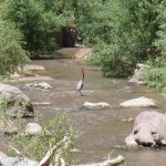 Aravaipa Canyon Aravaipa Canyon