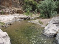 Sycamore Canyon Sycamore Canyon