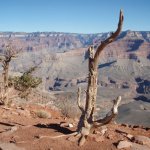 South Kaibab South Kaibab