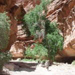 Havasupai Havasupai