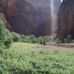 Havasupai Havasupai