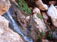 Elves Chasm Elves Chasm