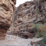 Mile 220 Canyon
